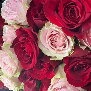 Meet your Posher, Odette